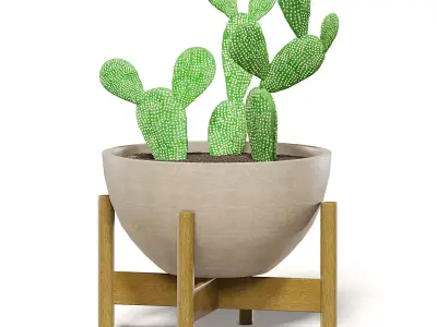 Cactus 3D Model in Brown Pot 3D model