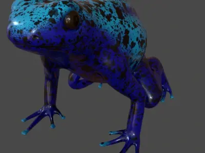 blue frog Dendrobates azureus pbr Low-poly 3D model