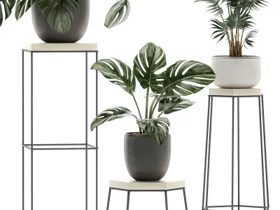 Decorative plants in pots on a stand for the interior 523 3D model