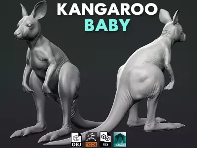 Kangaroo baby 3D model