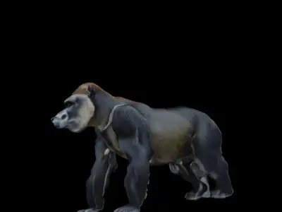 Gorilla  Low-poly 3D model