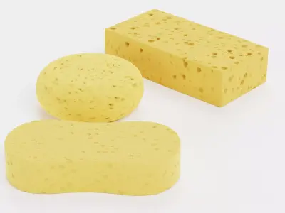 Sponge Collection - Household Cleaning Set 3D model