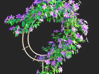Clematis on trellis 3D model