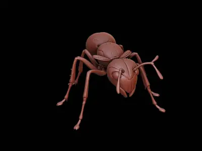 Ant Animal Sculpture 3D print model get