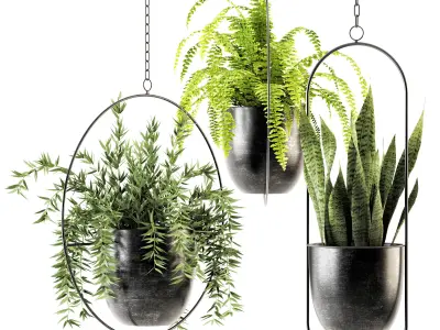 Collection of plants-002 3D model