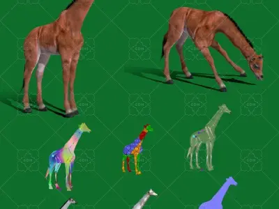 Spotless Giraffe Baby Low-poly 3D model