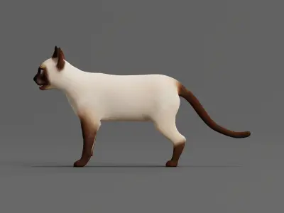 Siamese Cat Low-poly 3D model