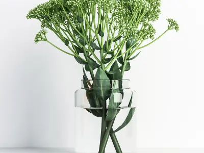 Sedum flower in glass vase 3D model