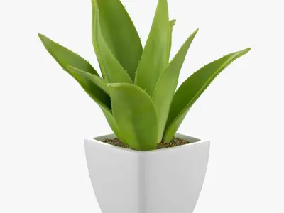 Pot plant 07 3D model