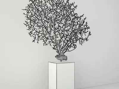Black Gorgonaria Decoration 3D model