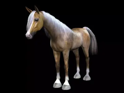 ARABIAN HORSE PUREBLOOD WILD WORLD PONY Low-poly 3D model