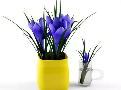 Crocus in vase 3D model