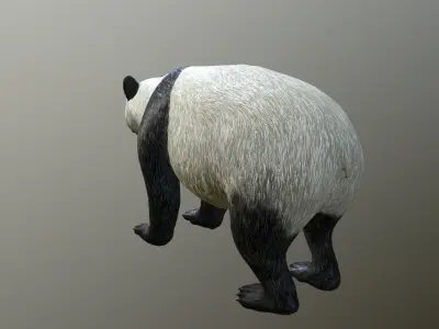Panda -Lowpoly bear Low-poly 3D model