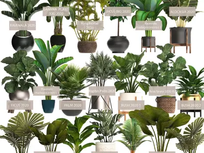 Collection of potted plants for the interior of 20 pieces NEW 3D model