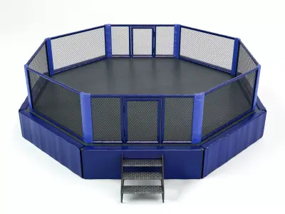 Mixed Martial Arts Octagon Arena 3D model