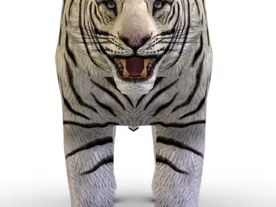 LowPoly Model A Realistic White Tiger Low-poly 3D model