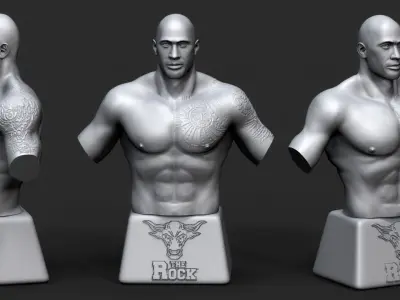 The Rock 3D Printable 4 3D print model