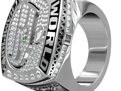 Seahawks Super Bowl Championship Ring 3D print model