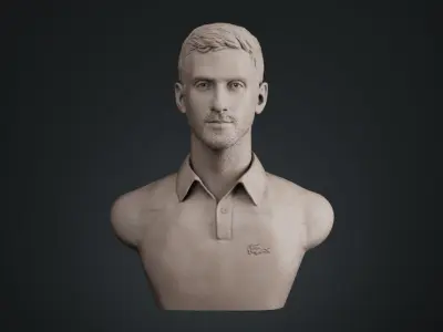 Novak Djokovic 3D print model