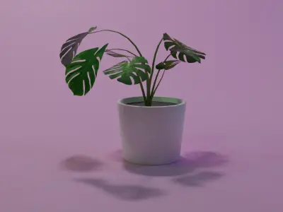 Monstera indoor plant PBR Ready for Unreal Engine 5 Low-poly 3D model