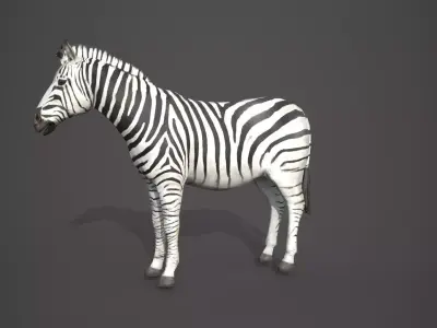 Animal Zebra 3D model