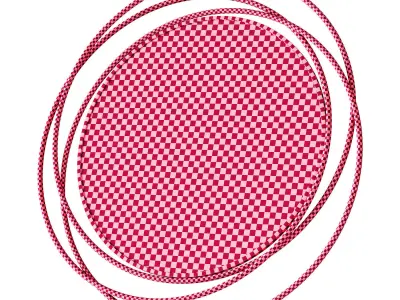 025 Husby Accent Mirror by Ivy Bronx Helios Rose 3D model