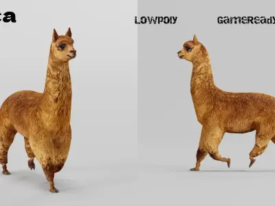 Alpaca Animal Low-poly 3D model