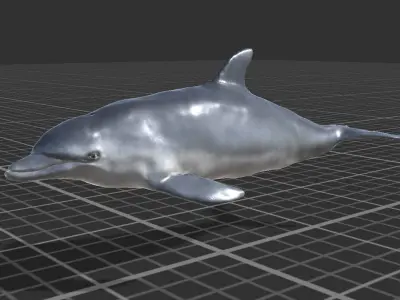 Bottlenose Dolphin Low-poly 3D model