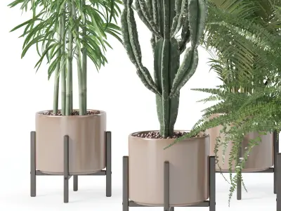 Plants collection 137 3D model