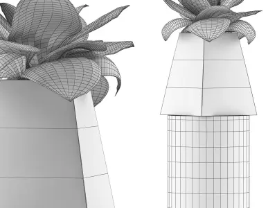 Plants Collection 112 3D model