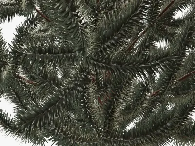 Fir tree artificial 05 3D model