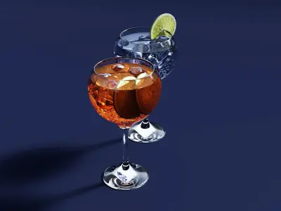 Drink Glass - Tropical Gin and Gin Tonic 3D model