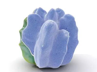 Round Green Cactus model pack Low-poly 3D model