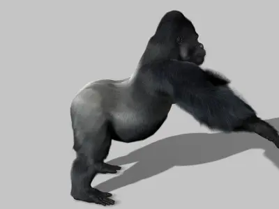 Gorilla 3D model