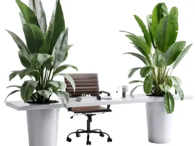 Workplace - Home office set - Office Furniture 50 3D model