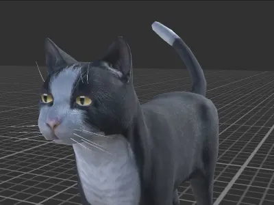 Cat pack 2 Low-poly 3D model