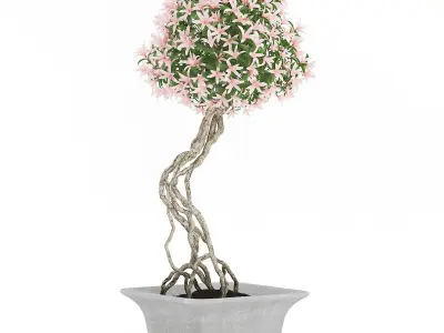 Flowering Tree in Concrete Pot 3D model