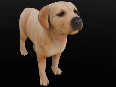 Puppy Animated Rigged  Low-poly 3D model