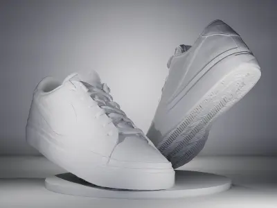 3D Scanned and Optimised Shoe - 1 3D model