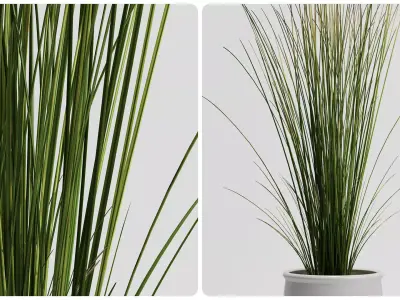  FEJKA Tall Grass Plant with Pot 3D Model 3D model