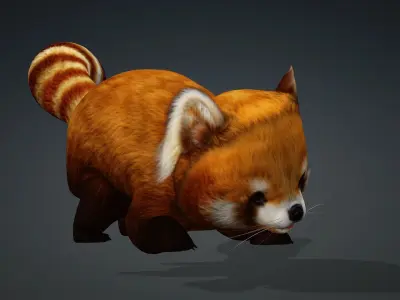 Red Panda-A1 3D model