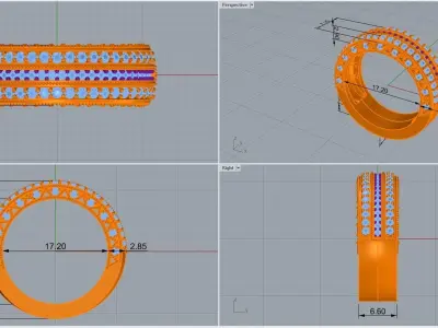 ring code 169 3D print model