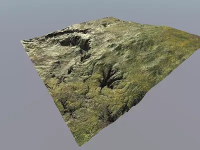 European Biome 1 Free low-poly 3D model