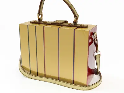 The Dolce Gabbana Encyclopaedia Box Bag 3D model
