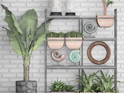 Decorative Set potted plants on shelf 3D model