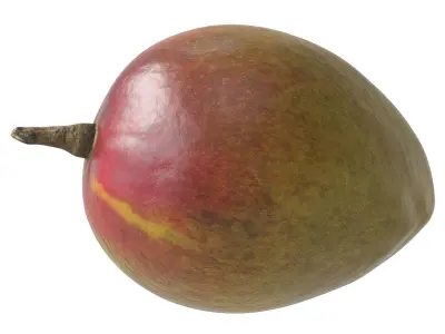 Mango fruit 3D Model Collection