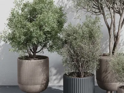 Indoor plant set 362 concrete vase plant tree shrub Low-poly 3D model