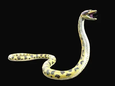 Low Poly Anaconda 3D Animal - Ready for Games 19 Animations Low-poly 3D model