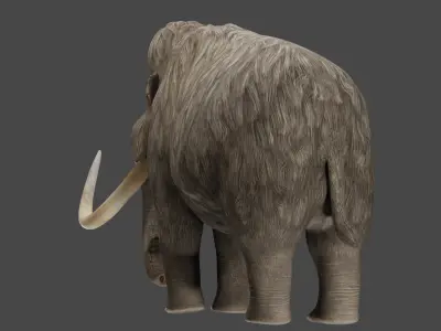 Wooly Mammoth  3D model