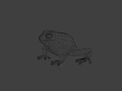 Cururu Toad 3D Model - Rhinella marina Low-poly 3D model